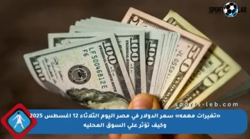 «تغيرات مهمة» سعر الدولار في مصر اليوم الثلاثاء 12 أغسطس 2025 وكيف تؤثر على السوق المحلية